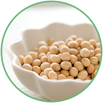 植物性の大豆タンパク質